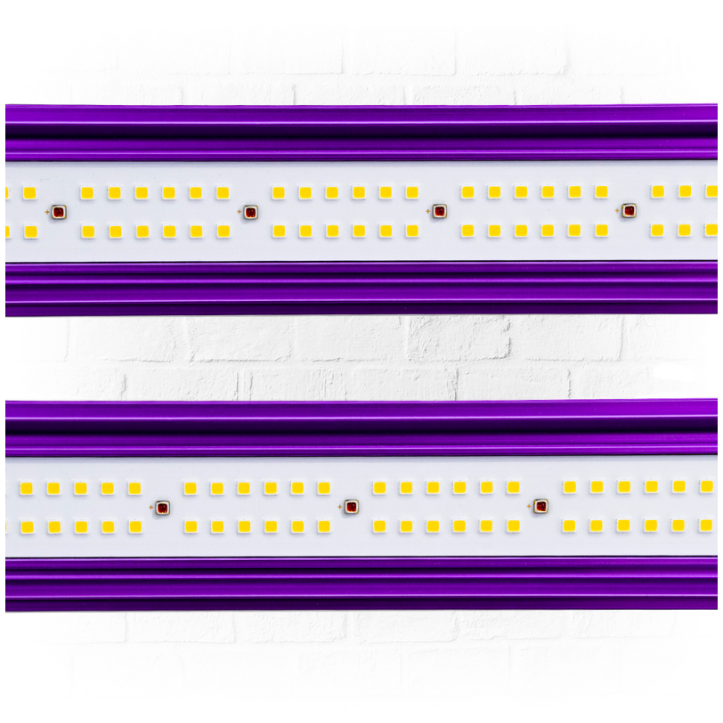 Led Zeus 1000W Extreme PPFD CO2 - Lumatek