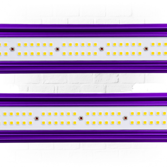 Led Zeus 600W Pro 2.9 - Lumatek