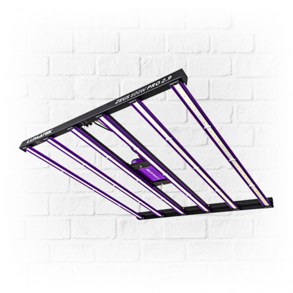 Led Zeus 600W Pro 2.9 - Lumatek