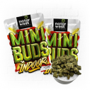 Mini Buds Indoor 20gr - Naturwest