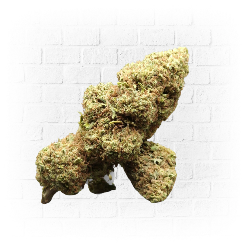 5gr Greenhouse Big Bud - Arima CBD