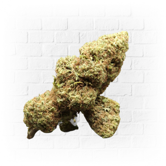 5gr Greenhouse Big Bud - Arima CBD