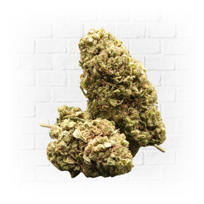 5gr Greenhouse Big Bud - Arima CBD