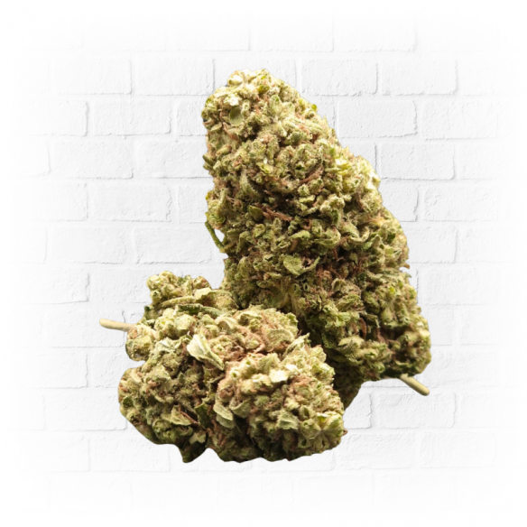 5gr Greenhouse Big Bud - Arima CBD