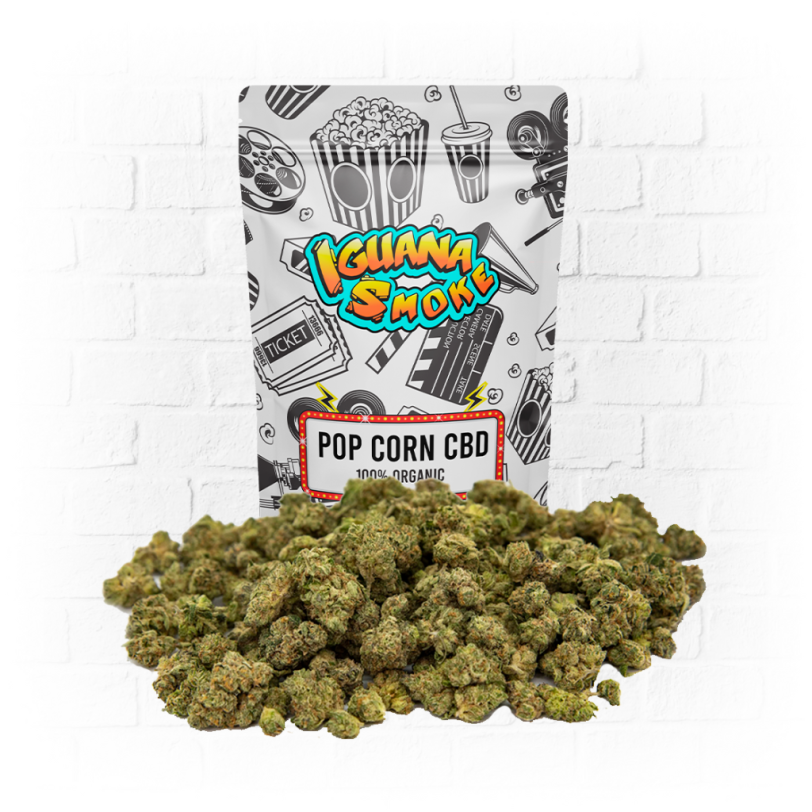 Pop Corn Mini Buds CBD - Iguana Smoke