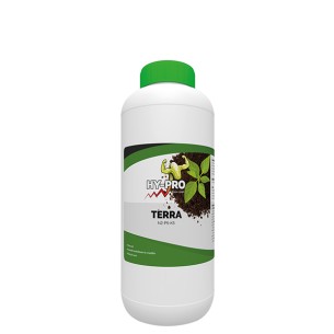 Terra 1 Componente 1 lt - Hy-Pro