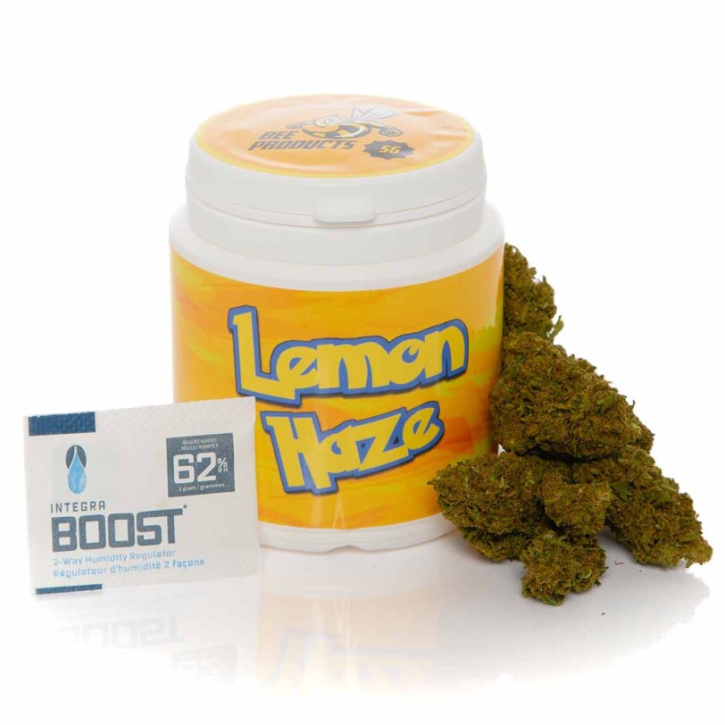 Lemon Haze CBD 5gr - Bee Products