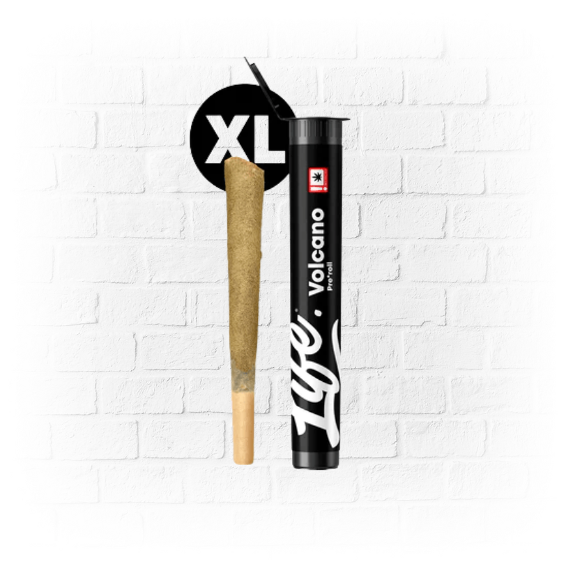 Volcano XL PreRoll - Life CBD