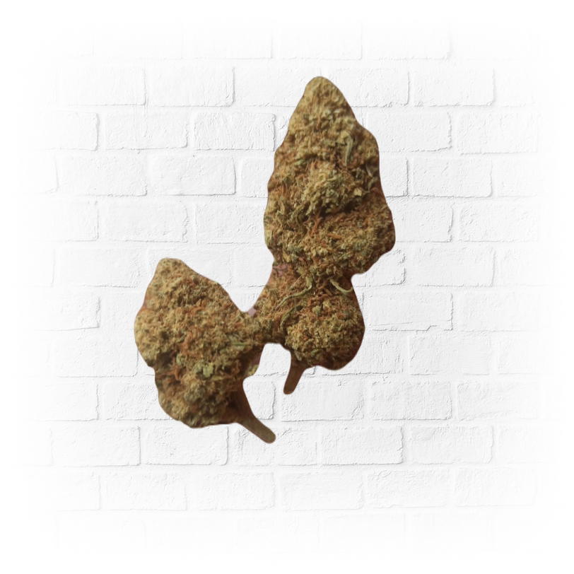 10gr Small Buds Greenhouse - The CBD Star