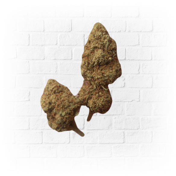 10gr Small Buds Greenhouse - The CBD Star