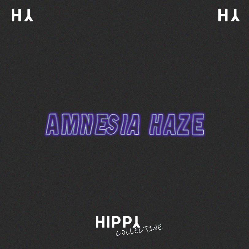 Amnesia Haze 3gr - Hippy Collective